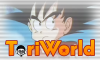 Toriworld
